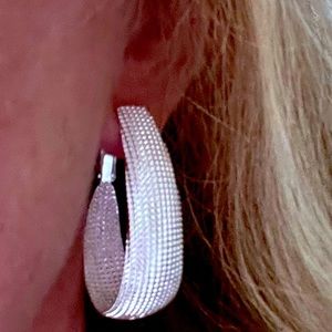 Sterling Silver earrings